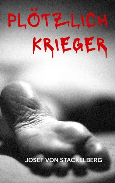 Cover: Plötzlich Krieger
