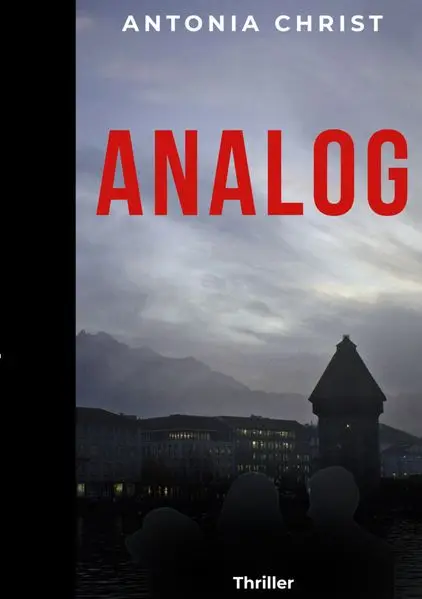 Cover: ANALOG