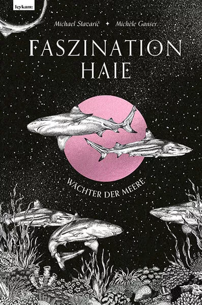 Cover: Faszination Haie – Wächter der Meere
