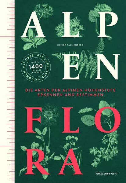 Alpenflora