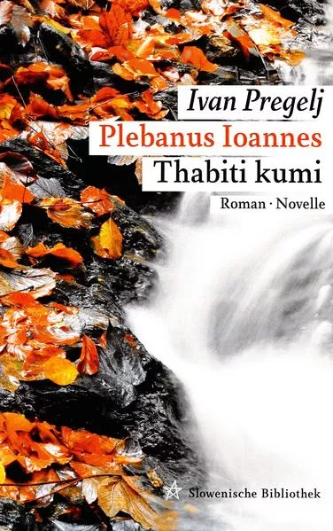 Cover: Plebanus Ioannes
