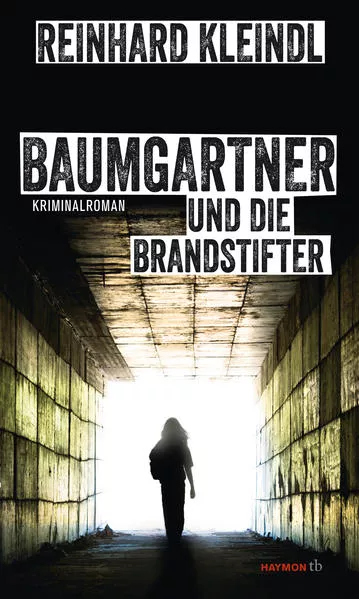 Cover: Baumgartner und die Brandstifter