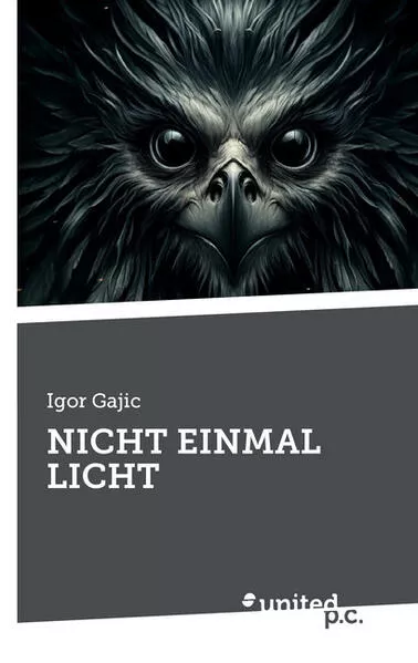 NICHT EINMAL LICHT