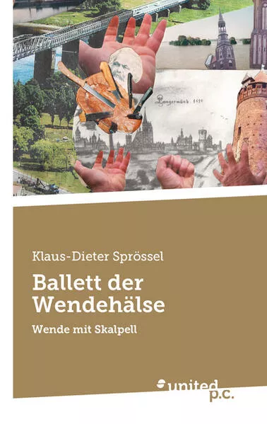 Cover: Ballett der Wendehälse