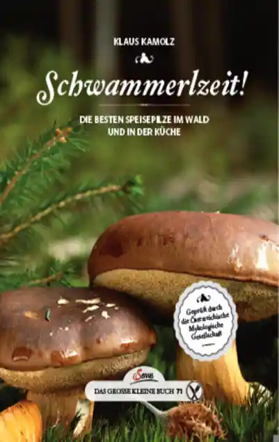 Cover: Das große kleine Buch: Schwammerlzeit!