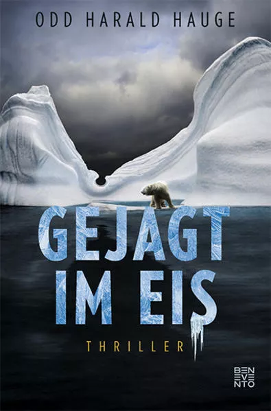 Cover: Gejagt im Eis