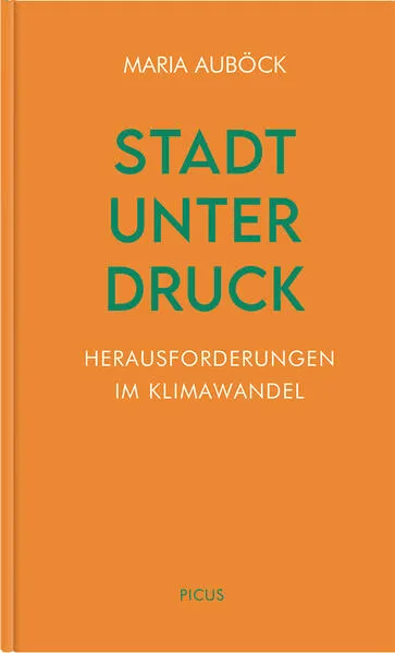 Cover: Stadt unter Druck