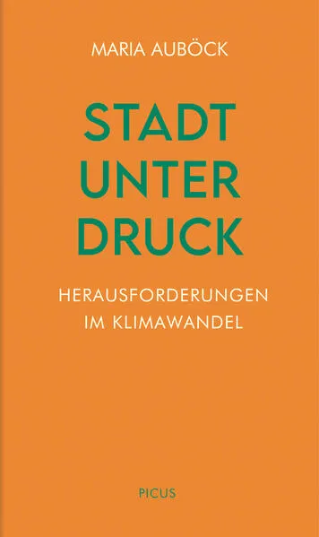 Cover: Stadt unter Druck