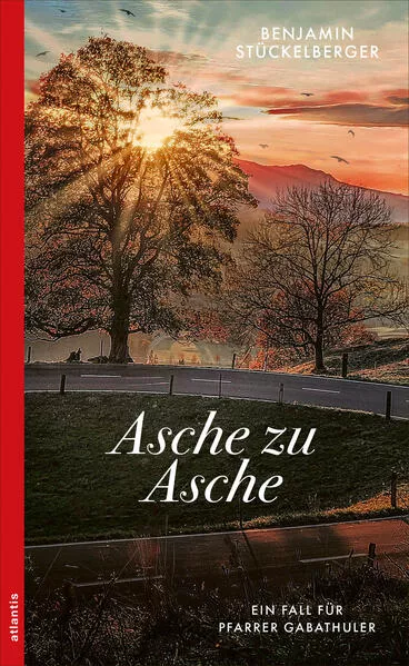 Cover: Asche zu Asche