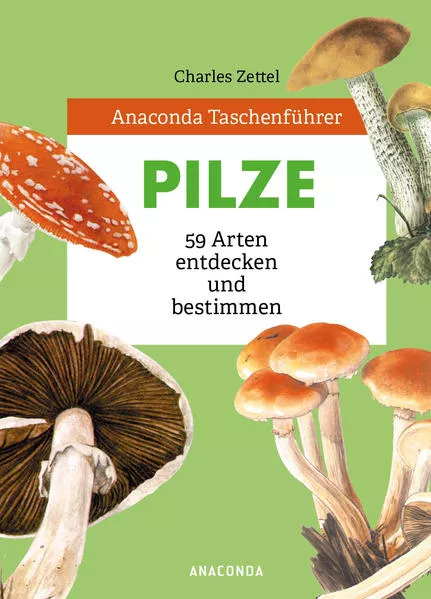 Cover: Anaconda Taschenführer Pilze. 59 Arten entdecken und bestimmen