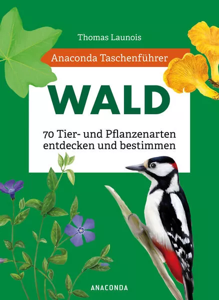 Cover: Anaconda Taschenführer Wald