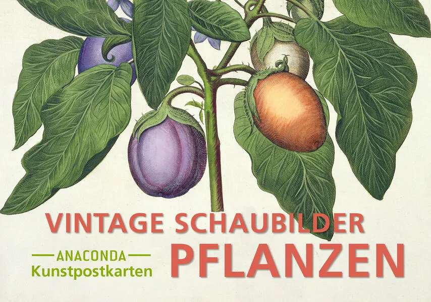 Postkarten-Set Vintage-Schaubilder Pflanzen</a>