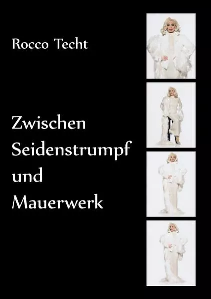 Cover: Zwischen Seidenstrumpf und Mauerwerk
