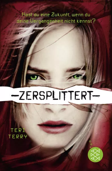 Cover: Zersplittert
