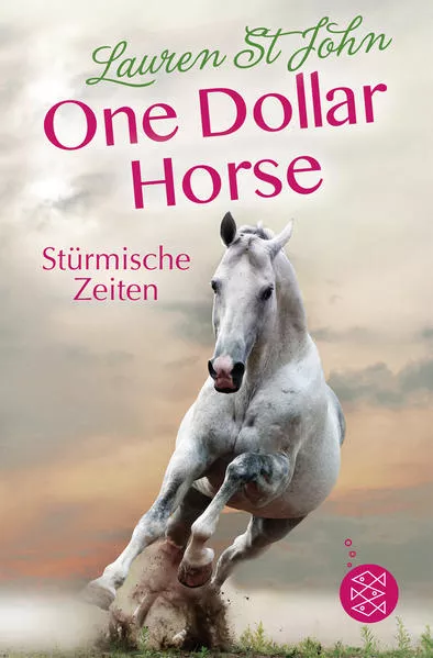Cover: One Dollar Horse – Stürmische Zeiten