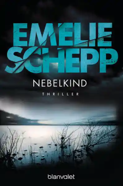Cover: Nebelkind