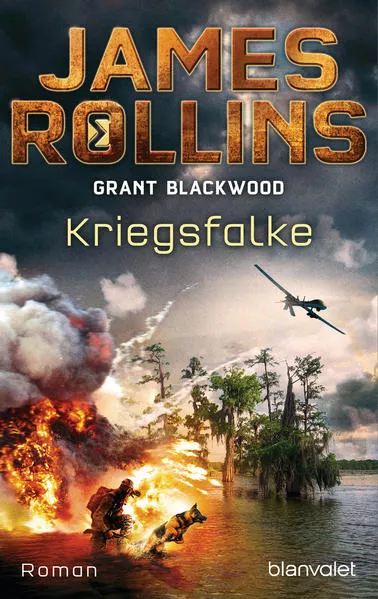 Cover: Kriegsfalke
