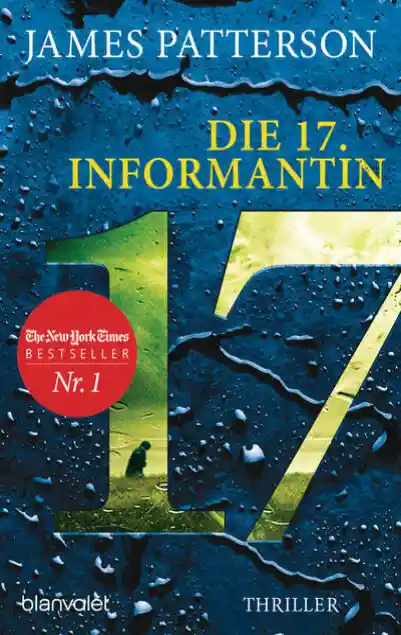 Cover: Die 17. Informantin