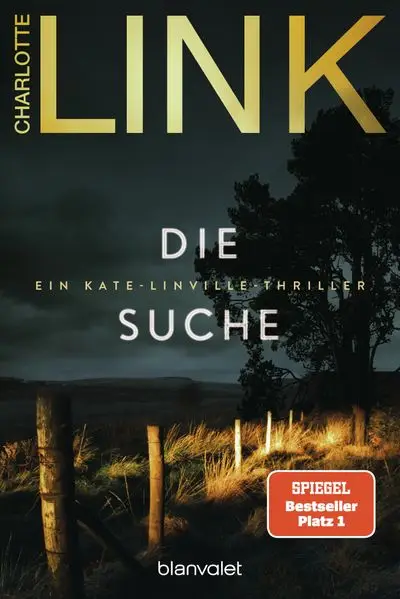Cover: Die Suche