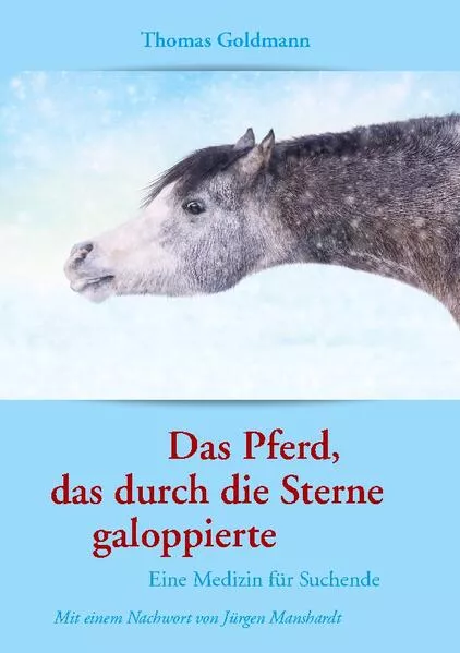 Cover: Das Pferd, das durch die Sterne galoppierte