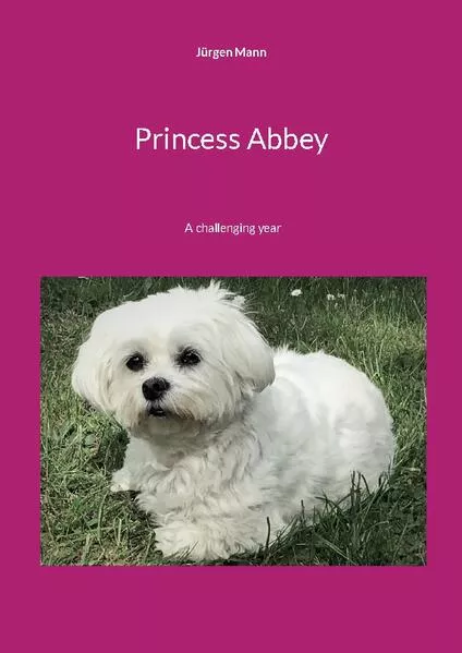 Cover: Princess Abbey