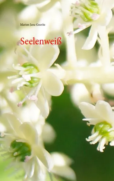 Cover: Seelenweiß