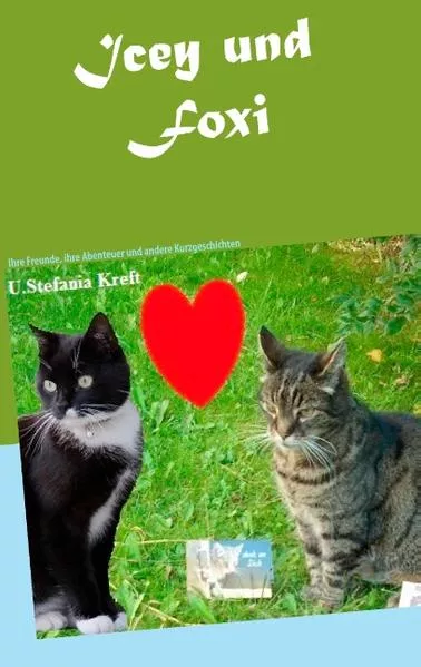 Cover: Icey und Foxi