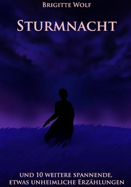 Cover: Sturmnacht