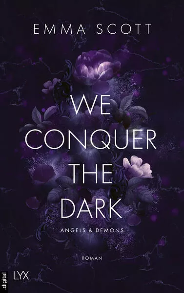 Cover: We Conquer the Dark