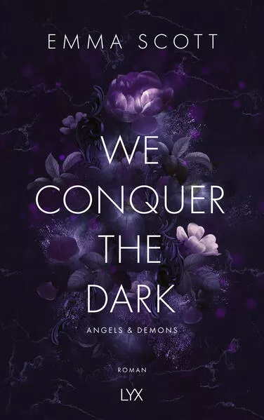Cover: We Conquer the Dark