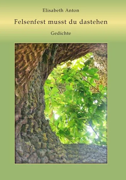 Cover: Felsenfest musst du dastehen
