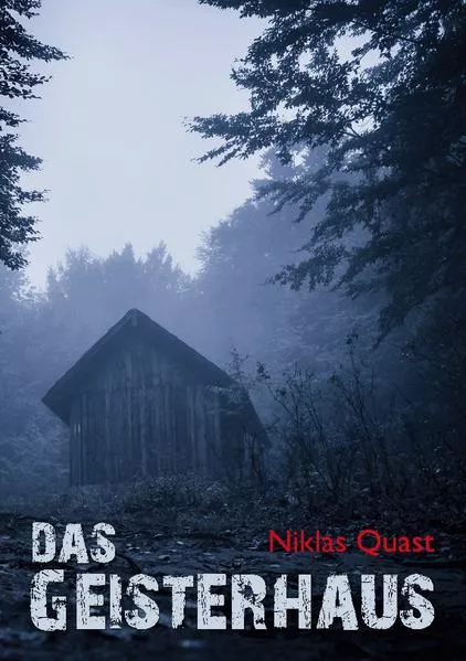 Cover: Das Geisterhaus