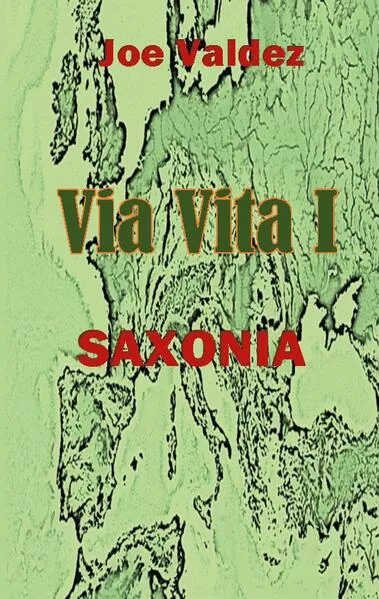 Cover: Via Vita I