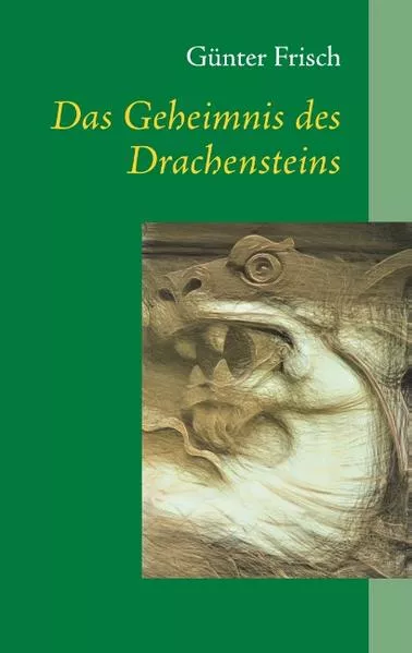 Cover: Das Geheimnis des Drachensteins
