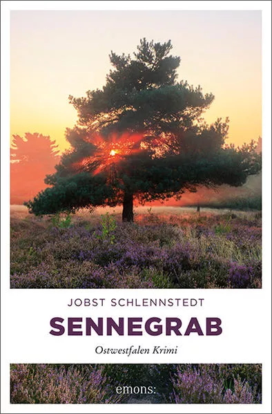 Cover: Sennegrab