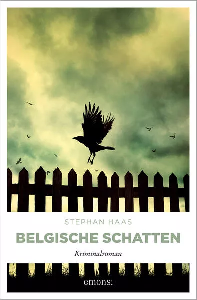 Cover: Belgische Schatten