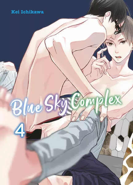 Cover: Blue Sky Complex 04