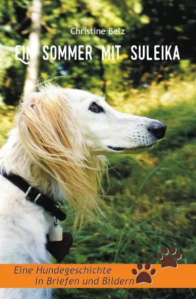 Cover: Ein Sommer mit Suleika
