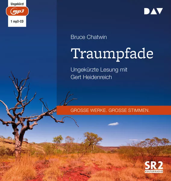 Cover: Traumpfade