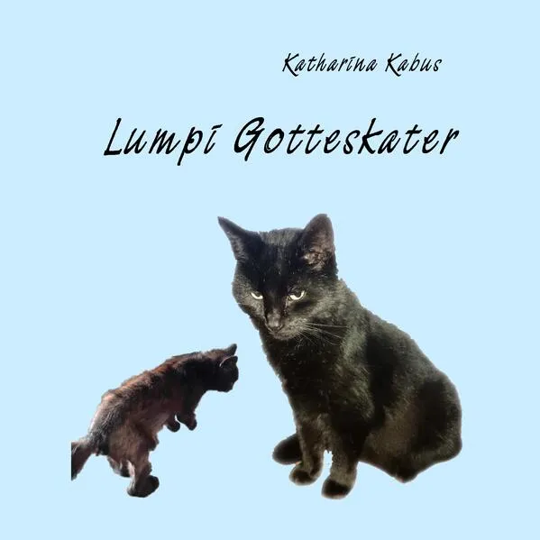 Cover: Lumpi Gotteskater