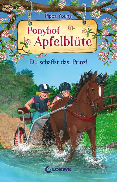 Cover: Ponyhof Apfelblüte (Band 19) - Du schaffst das, Prinz!