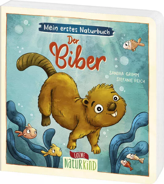Cover: Mein erstes Naturbuch - Der Biber
