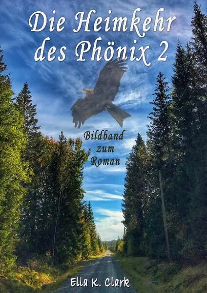 Die Heimkehr des Phönix 2</a>