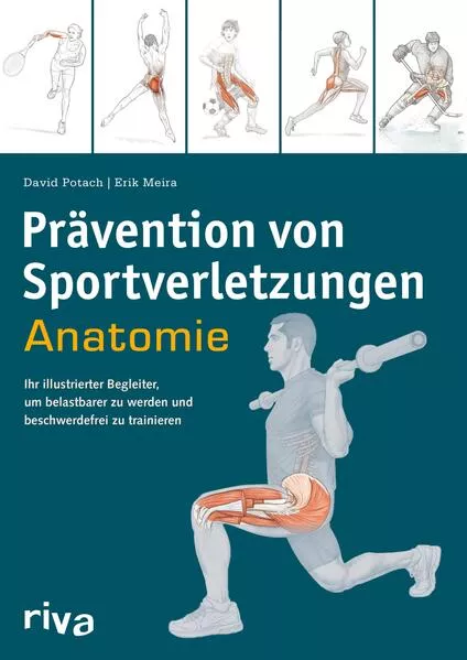 Cover: Prävention von Sportverletzungen – Anatomie