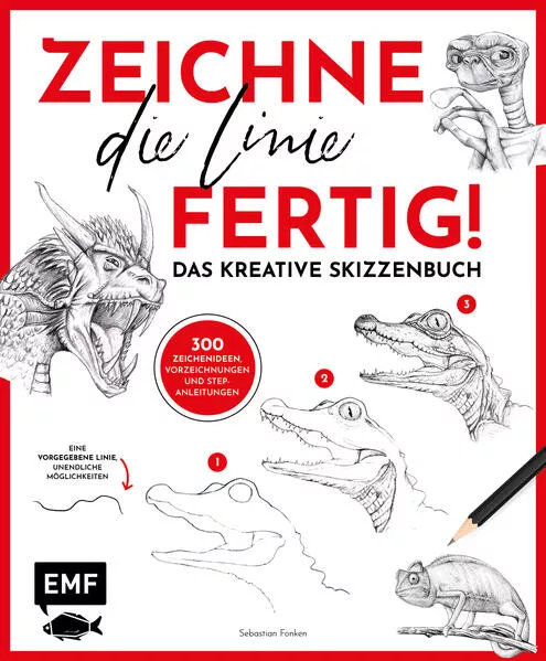 Cover: Zeichne die Linie fertig!