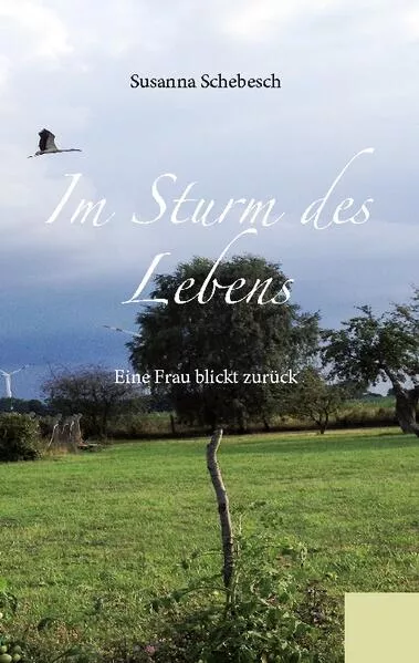 Cover: Im Sturm des Lebens
