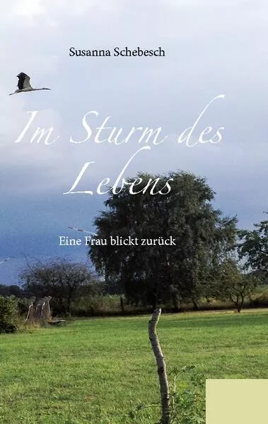 Im Sturm des Lebens