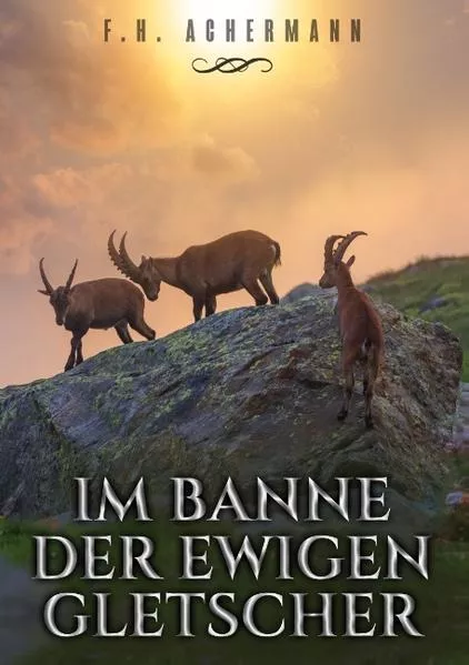 Cover: Im Banne der ewigen Gletscher