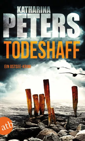 Cover: Todeshaff