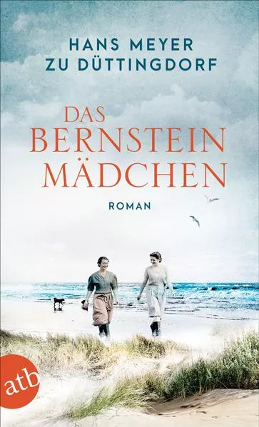 Cover: Das Bernsteinmädchen